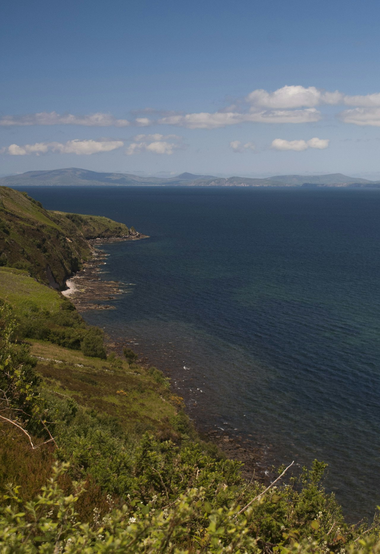 Scenic view of Bottle Cove coastline