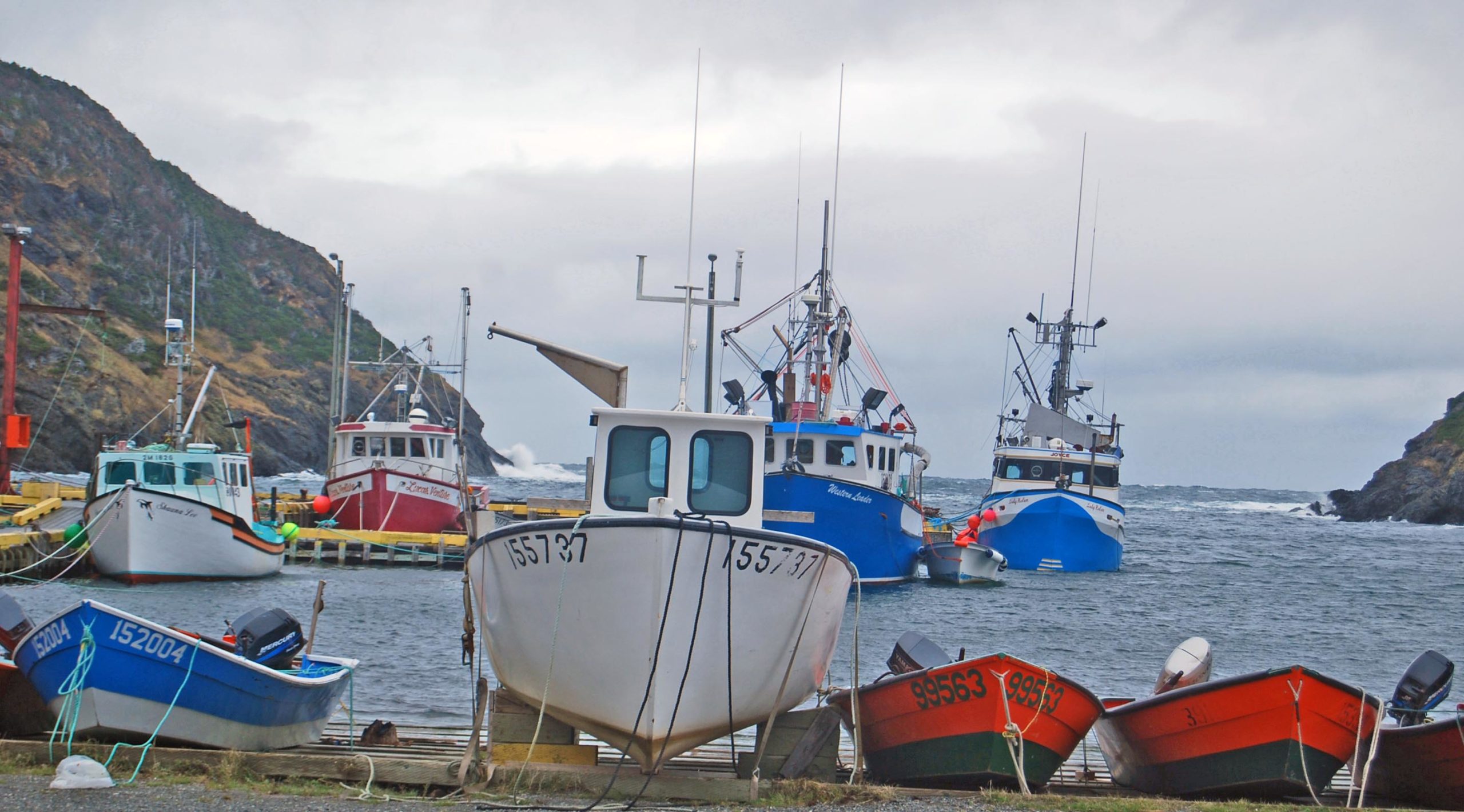Fishing boats moored at Bottle Cove harbour