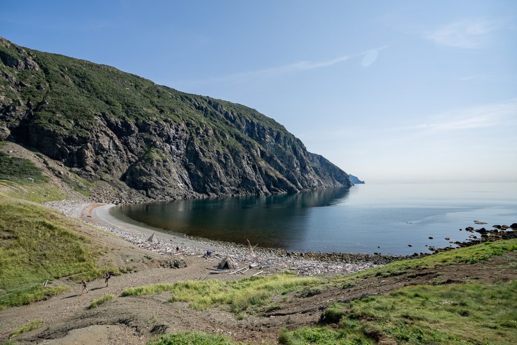 Cedar Cove hiking trail through the forest